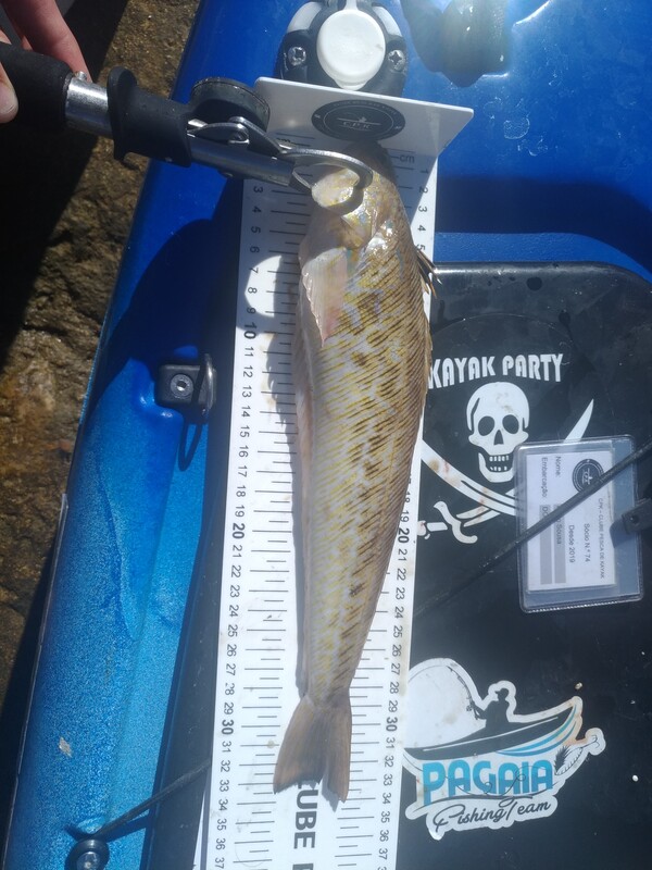 Fish Measure Picture